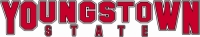 YSU Men's Basketball Camps